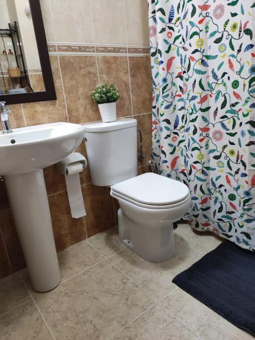 Casa Capi Apartman La Orotava Kültér fotó